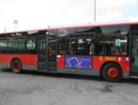 Comienza la construcción de la plataforma para autobuses en O'Donnell