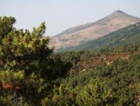 Diez años del incendio que arrasó el Monte Abantos