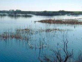 Casi 4 millones para reparar el Canal de las Aves en Aranjuez y Madrid