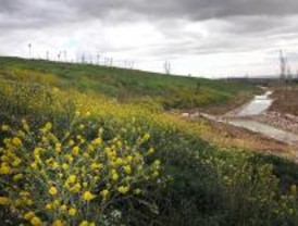 La primera primavera del parque de Valdebebas