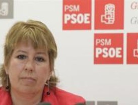 Menéndez pide al Gobierno regional que no se empeñe en derribar el Mirasierra