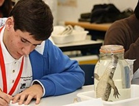 1.500 superdotados, a clase los sábados