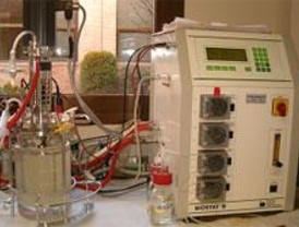 Microorganismos para un gasóleo menos contaminante