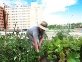 El 'boom' de los huertos urbanos
