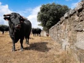 La Comunidad promociona en Guadarrama su mejor carne