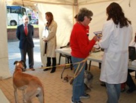 Arranca la campaña de vacunación a perros y gatos en Pozuelo