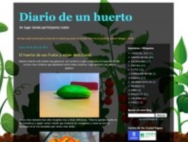 Un blog sobre el huerto de Ciudad Pegaso