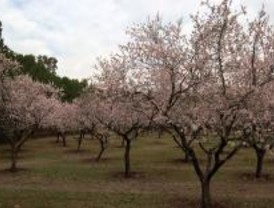 El parque histórico de la Quinta de los Molinos se reformará a finales de año