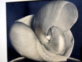 Weston y Callahan llevan su erótica a PhotoEspaña