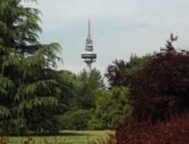 'Brotes verdes' en La Elipa