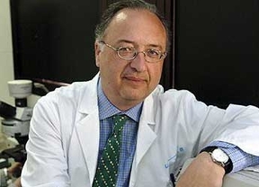 Leocadio Rodríguez: "Liderar un proyecto europeo permite plantear retos de investigación más ambiciosos"