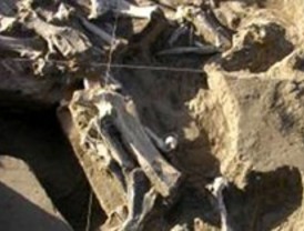 Un yacimiento revela un 'mundo perdido' en España