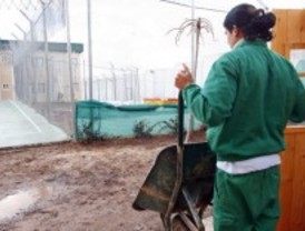 Un verano de actividades para menores infractores