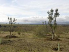Nuevo espacio para el uso de los vecinos junto al río Guadarrama en Boadilla