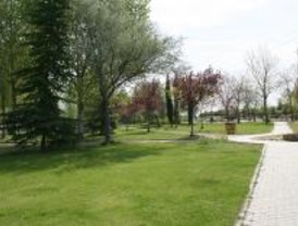 Actividades para fomentar los valores medioambientales