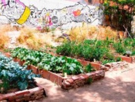 Crean un huerto urbano en Moratalaz