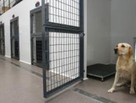 La Unidad Canina de Las Rozas ayudará a los bomberos de la Comunidad