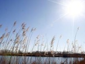 Polémica protección para el Parque del Sureste
