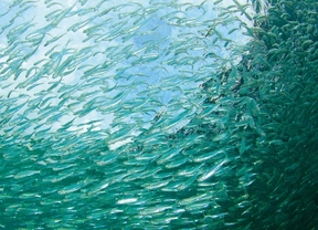 El Corte Inglés refuerza su apuesta por la eficiencia energética