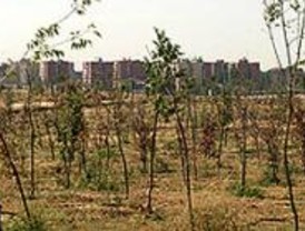 Bosque Sur recibe una inyección de 5 millones para su conservación