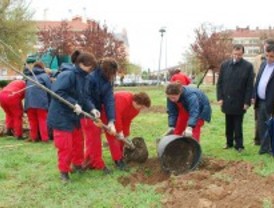Nuevo pasillo vegetal en Alcalá de Henares