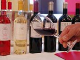 La Cámara forma a un selecto grupo de profesionales del vino