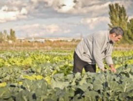 El parque agroecológico de Rivas creará 77 empleos