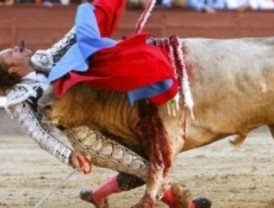 Aparicio de nuevo en la UCI tras la cornada