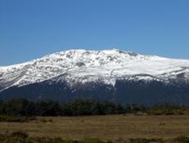 De la estrategia territorial a los planes comarcales de caza