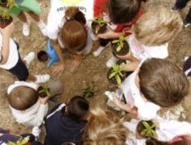 Echa a andar la red de Ecoescuelas de Las Rozas