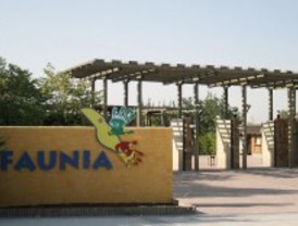 Tres encapuchados roban la caja fuerte de Faunia