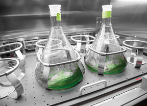 Audi y la maldición de los motores de agua