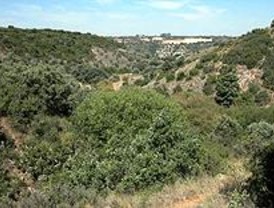 SEO dice que las canteras de la Alcarria dañarán el ecosistema