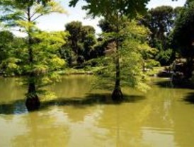 Tres miradas fotográficas sobre el Retiro