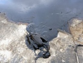 La laguna del aceite, una trampa mortal para las aves
