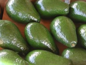 Extraen neuroprotectores y antioxidantes del mango, la chirimoya y el aguacate