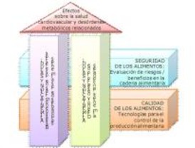 Investigación de vanguardia contra la obesidad