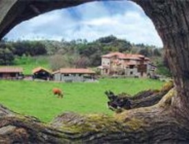 La Comunidad promueve 140 proyectos rurales en cuatro años