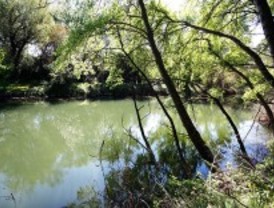 Pedirán a la CE paralizar a el plan de gestión de las Cuencas del Jarama y el Henares