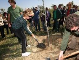 Bosquesur ya tiene 400 hectáreas y 250.000 árboles y arbustos