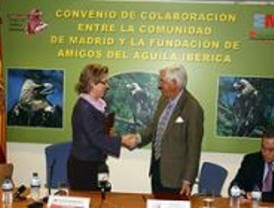 La Comunidad promueve la conservación del águila imperial ibérica