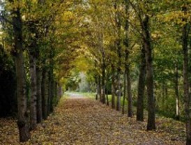 Aranjuez dorado