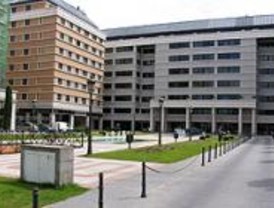 El Gobierno central destina 351 millones para financiar el transporte regular de Madrid