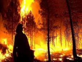Madrid, entre las comunidades con menor riesgo de incendio de España