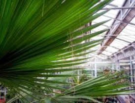 El Palacio de Cristal contará con 848.200 euros para conservar su flora y fauna
