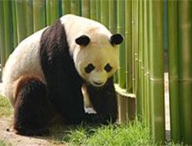 El zoo enseña a los niños a divertirse aprendiendo con los animales