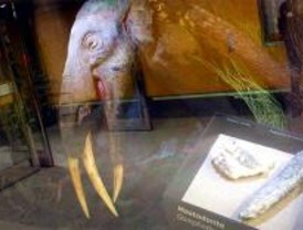 Mastodontes en el Metro