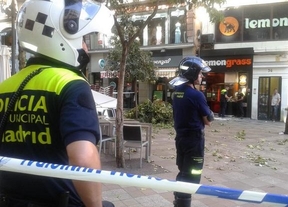 Una rama cae sobre una terraza de la calle Montera y provoca cuatro heridos leves