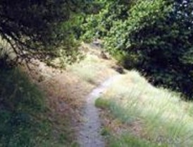 Ecologistas pedirá una ley de caminos a la Comunidad