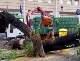 Dos ancianos heridos por al caerles árboles encima por el viento
